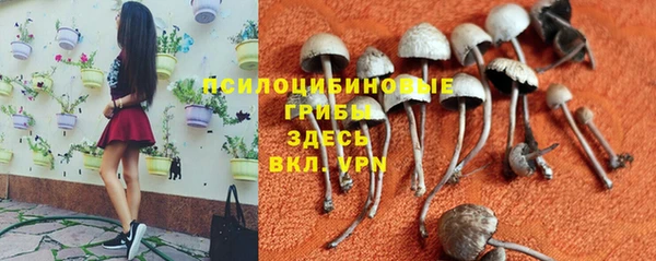 метадон Бронницы