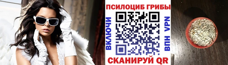 KRAKEN как войти  Благовещенск  Псилоцибиновые грибы мухоморы 